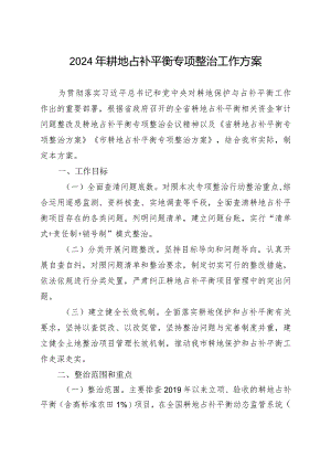 2024年耕地占补平衡专项整治工作方案.docx