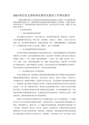 2023基层党支部标准化规范化建设工作情况报告.docx