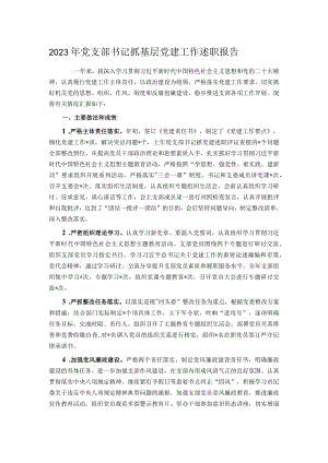 2023年党支部书记抓基层党建工作述职报告.docx