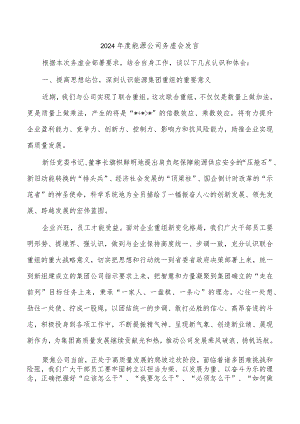 2024年度能源公司务虚会发言.docx
