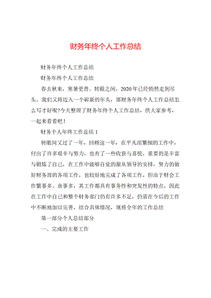 财务年终个人工作总结.docx