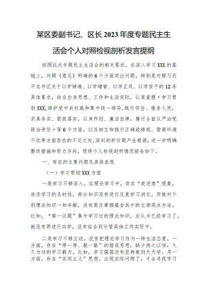 某区委副书记、区长2023年度专题民主生活会个人对照检视剖析发言提纲.docx