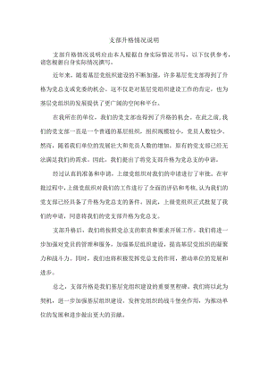 支部升格情况说明.docx