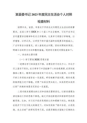 某县委书记2023年度民主生活会个人对照检查材料.docx