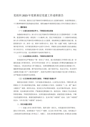 党组织2023年度抓基层党建工作述职报告.docx