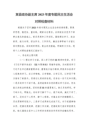 某县政协副主席2023年度专题民主生活会对照检查材料.docx