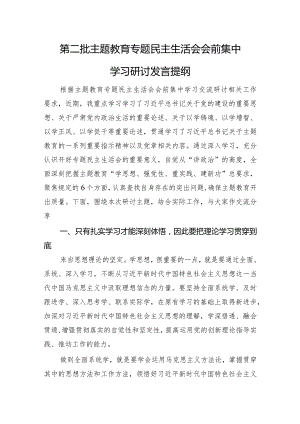 第二批主题教育专题民主生活会会前集中学习研讨发言提纲.docx