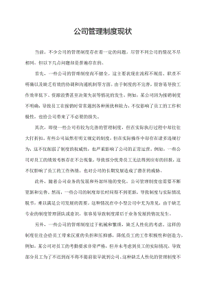公司管理制度现状.docx