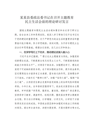 某某县委政法委书记在召开主题教育民主生活会前的理论研讨发言.docx