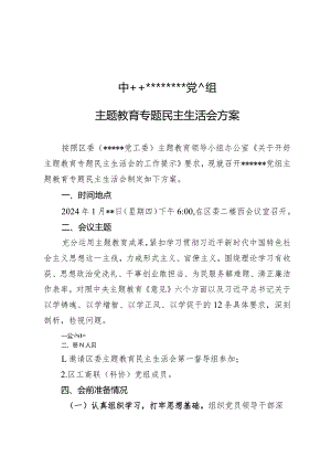 主题教育民主生活会方案.docx