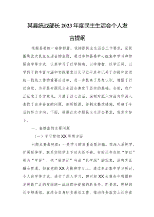 某县统战部长2023年度民主生活会个人发言提纲.docx