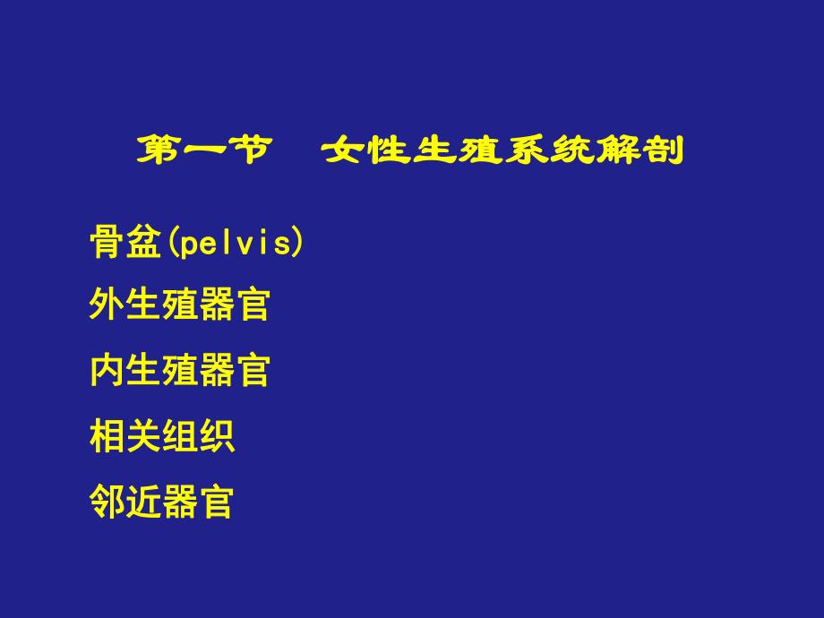 女性生殖系统解剖与生理课件.ppt_第2页