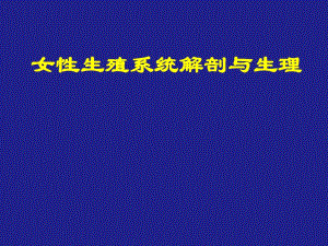 女性生殖系统解剖与生理课件.ppt