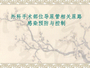 外科手术部位导尿管相关尿路感染预防与控制.ppt