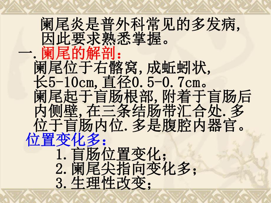 外科讲稿：阑尾 炎.ppt_第2页