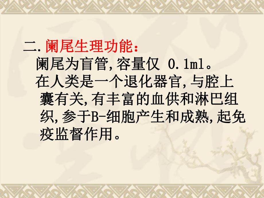 外科讲稿：阑尾 炎.ppt_第3页