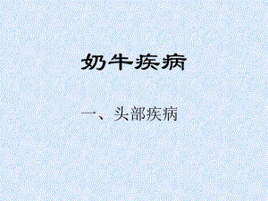 奶牛头部疾病.ppt