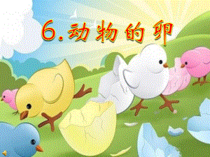四下二6动物的卵A.ppt