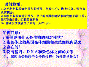 基因的显性和隐性杜1.ppt