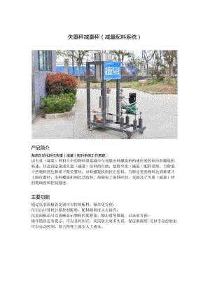 失重秤减量秤.docx