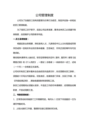 公司管理制度.docx
