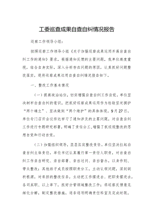 工委巡查成果自查自纠情况报告.docx