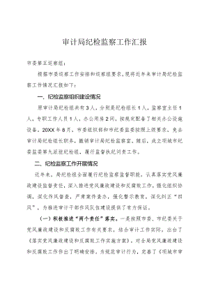 审计局纪检监察工作汇报.docx