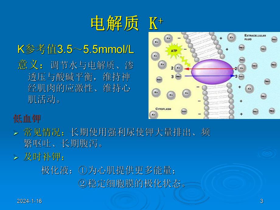 心内科常见检查及其意义.ppt_第3页