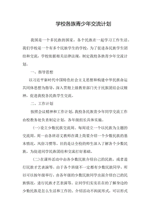 学校各族青少年交流计划.docx