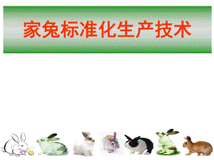 家兔标准化养殖技术.ppt