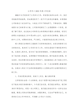 公司员工2022年度工作总结.docx