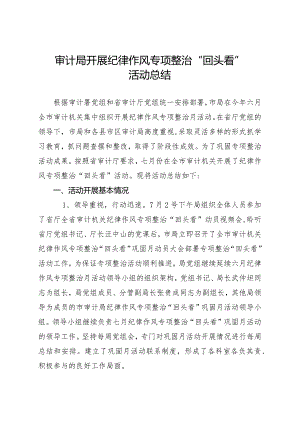审计局开展纪律作风专项整治“回头看”活动总结.docx