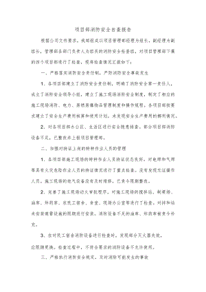 公司项目部消防安全自查报告.docx