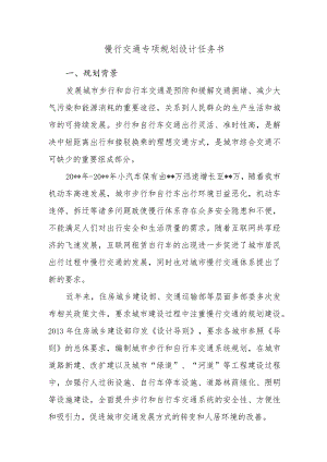 城市慢行交通专项规划设计任务书.docx