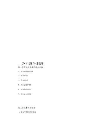 公司财务管理制度及流程图.docx