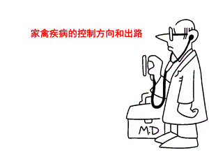 家禽临床用药的思考.ppt