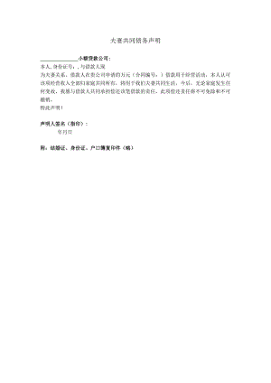 夫妻共同债务声明.docx