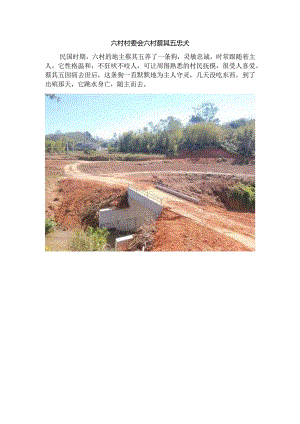 六村村委会六村蔡其五忠犬.docx