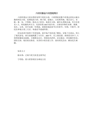 六村村委会六村四组简介.docx