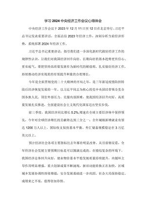 学习2024年中央经济工作会议心得体会一.docx