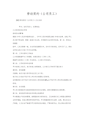 劳动契约（公司员工）.docx