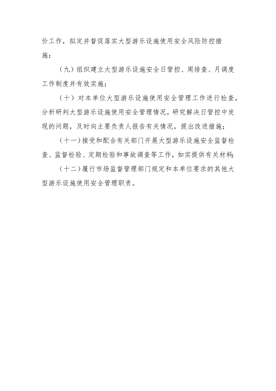 大型游乐设施（使用单位）安全总监职责、安全员守则.docx_第2页