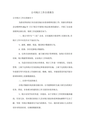 公司统计工作自查报告.docx