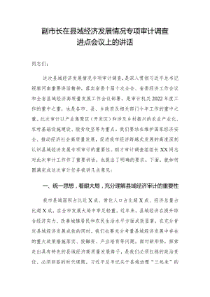 副市长在县域经济发展情况专项审计调查进点会议上的讲话.docx