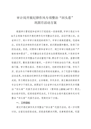 审计局开展纪律作风专项整治“回头看”巩固月活动方案.docx
