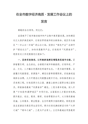 在全市数字经济高质量发展工作会议上的发言.docx