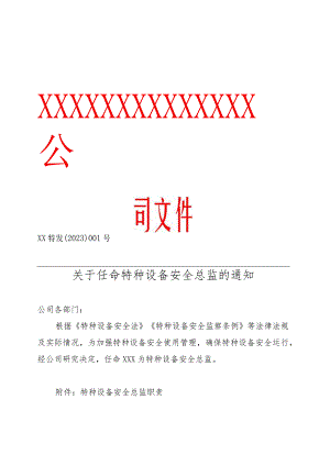 关于任命特种设备安全总监的通知（后附职责）.docx