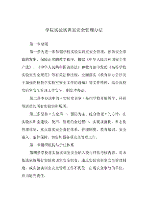 学院实验实训室安全管理办法.docx