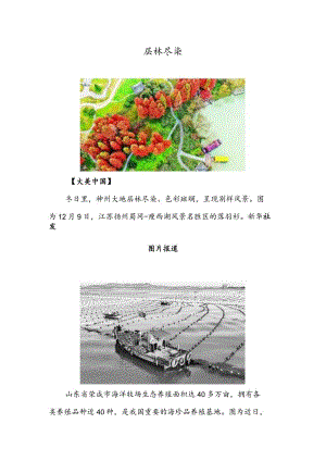 层林尽染.docx