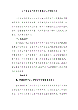 公司安全生产隐患排查整治行动方案参考.docx